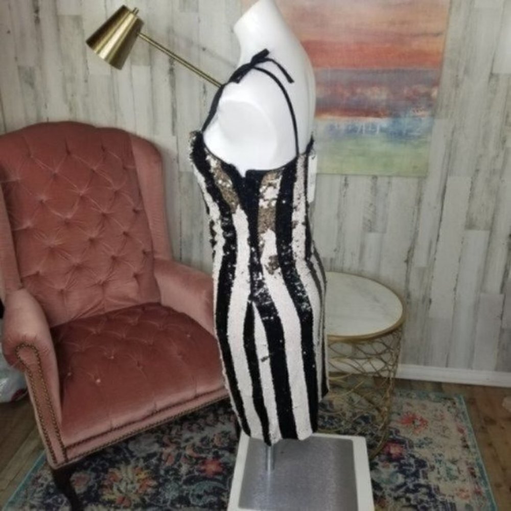 Cupcakes and Cashmere Reverse Sequin Dress - Picture 11 of 12